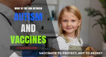 Vaccines and Autism: Exploring the Link