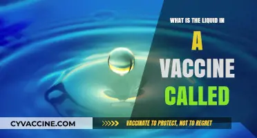 Understanding Vaccine Components: What's the Liquid in Vaccines Called?