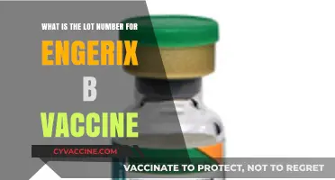 Understanding Engerix-B Vaccine Lot Numbers: A Comprehensive Guide