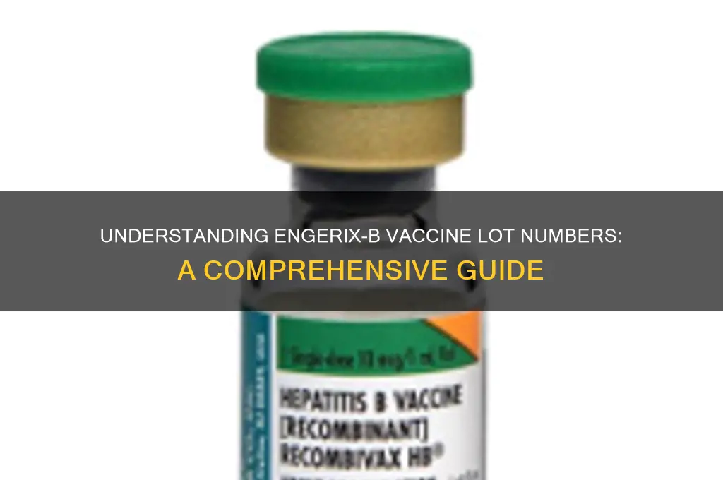 what is the lot number for engerix b vaccine