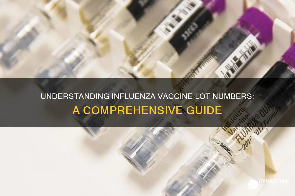 what is the lot number for influenza vaccine