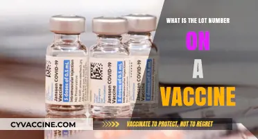 Understanding Vaccine Lot Numbers: Importance, Location, and Tracking Explained