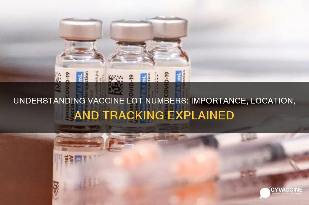 what is the lot number on a vaccine