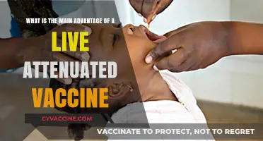 Live Attenuated Vaccines: Key Benefits for Long-Lasting Immunity Explained