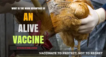 Alive Vaccines: Unlocking Stronger, Longer-Lasting Immunity Naturally