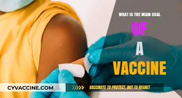 Understanding Vaccines: The Primary Purpose of Immunization Explained