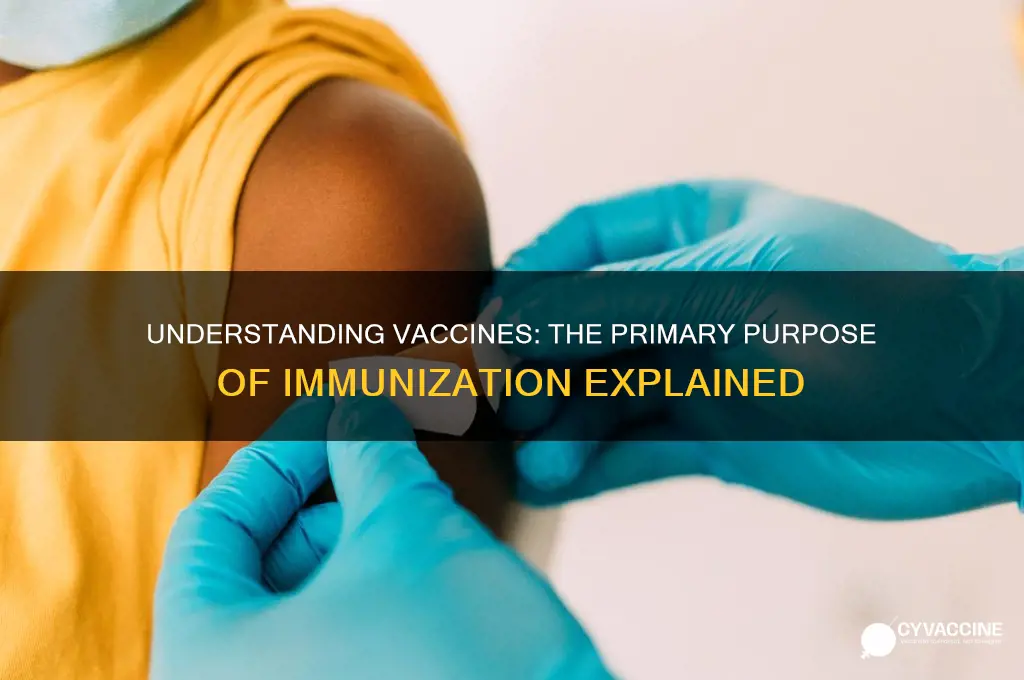 what is the main goal of a vaccine
