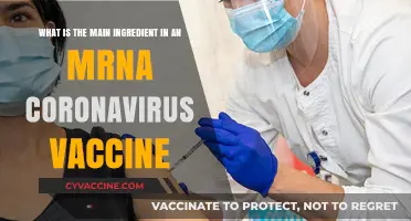 Understanding mRNA Vaccines: Key Ingredient in Coronavirus Prevention