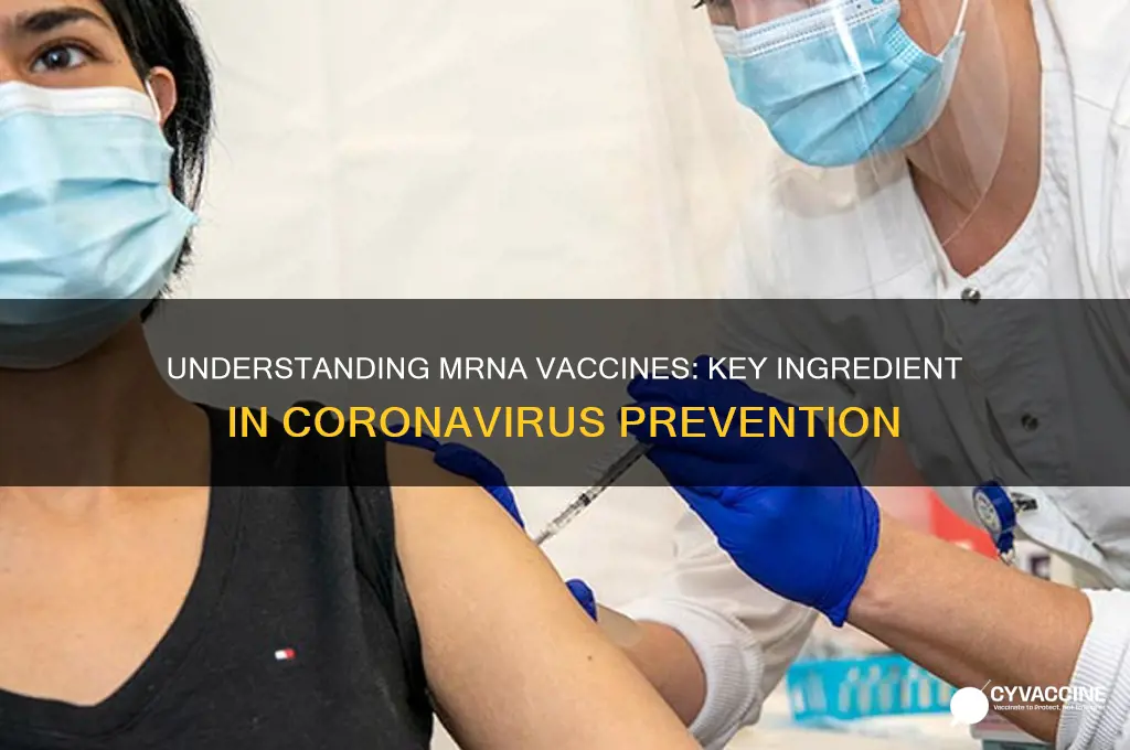 what is the main ingredient in an mrna coronavirus vaccine