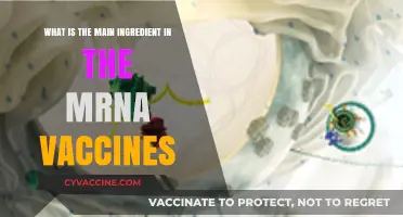 Unveiling the Key Component in mRNA Vaccines: A Comprehensive Guide