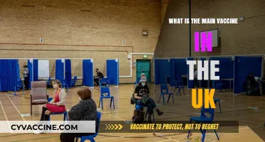 Understanding the UK's Primary Vaccine: A Comprehensive Guide