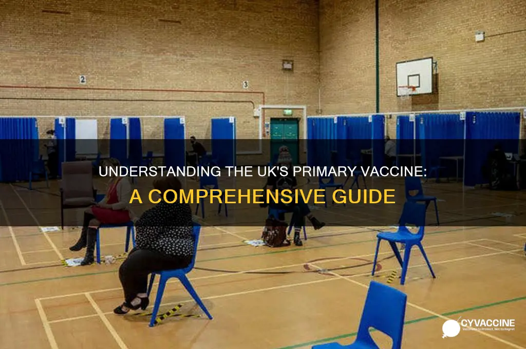 what is the main vaccine in the uk