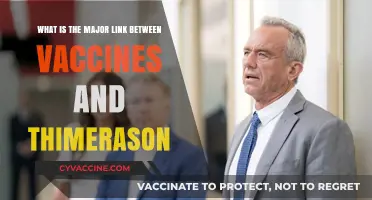 Vaccines and Thimerosal: Unraveling the Major Connection and Facts