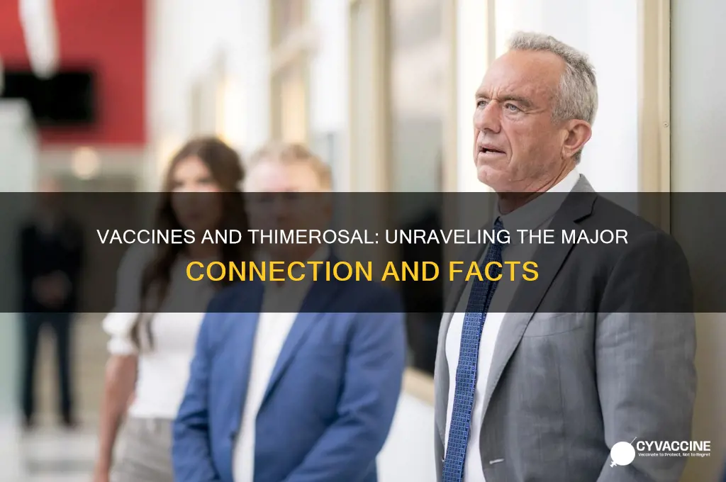 what is the major link between vaccines and thimerason