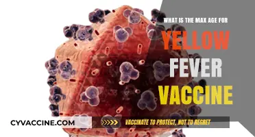 Understanding the Age Limit for Yellow Fever Vaccination: Key Insights