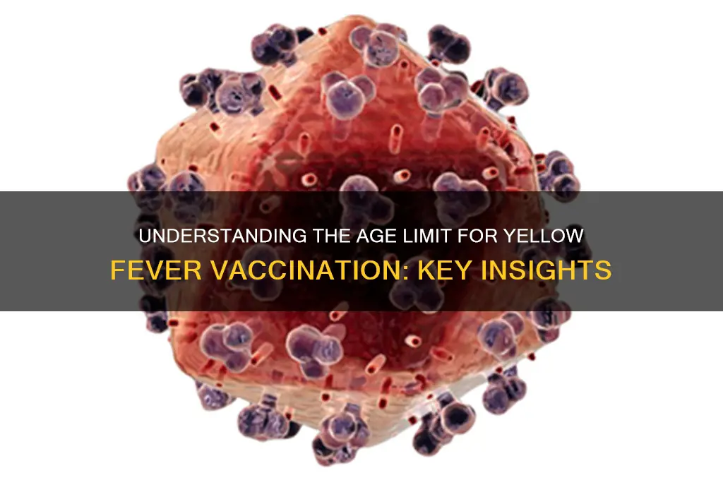 what is the max age for yellow fever vaccine