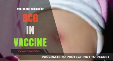 Understanding BCG Vaccine: Meaning, Purpose, and Global Health Impact