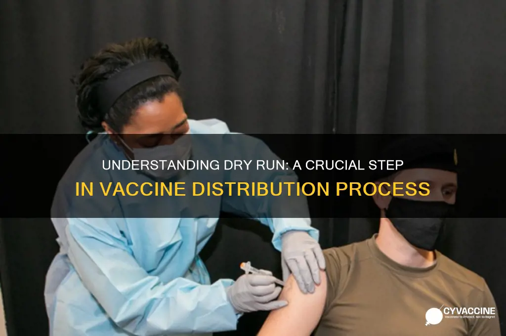 what is the meaning of dry run of vaccine