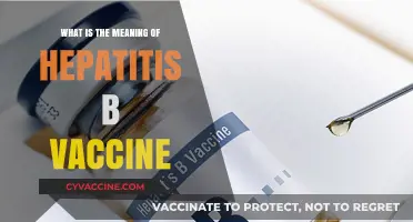 Understanding Hepatitis B Vaccine: Purpose, Benefits, and Importance Explained