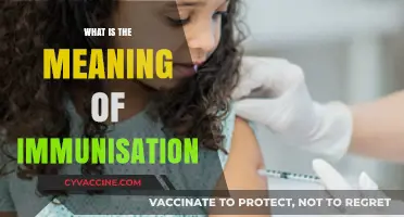 Understanding Immunisation: Protecting Health Through Vaccination and Disease Prevention
