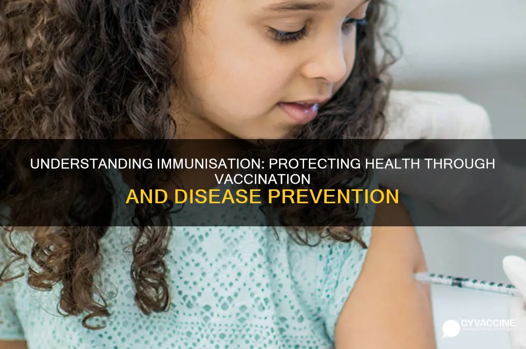 what is the meaning of immunisation