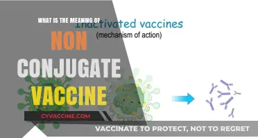 Understanding Non-Conjugate Vaccines: Definition, Mechanism, and Applications
