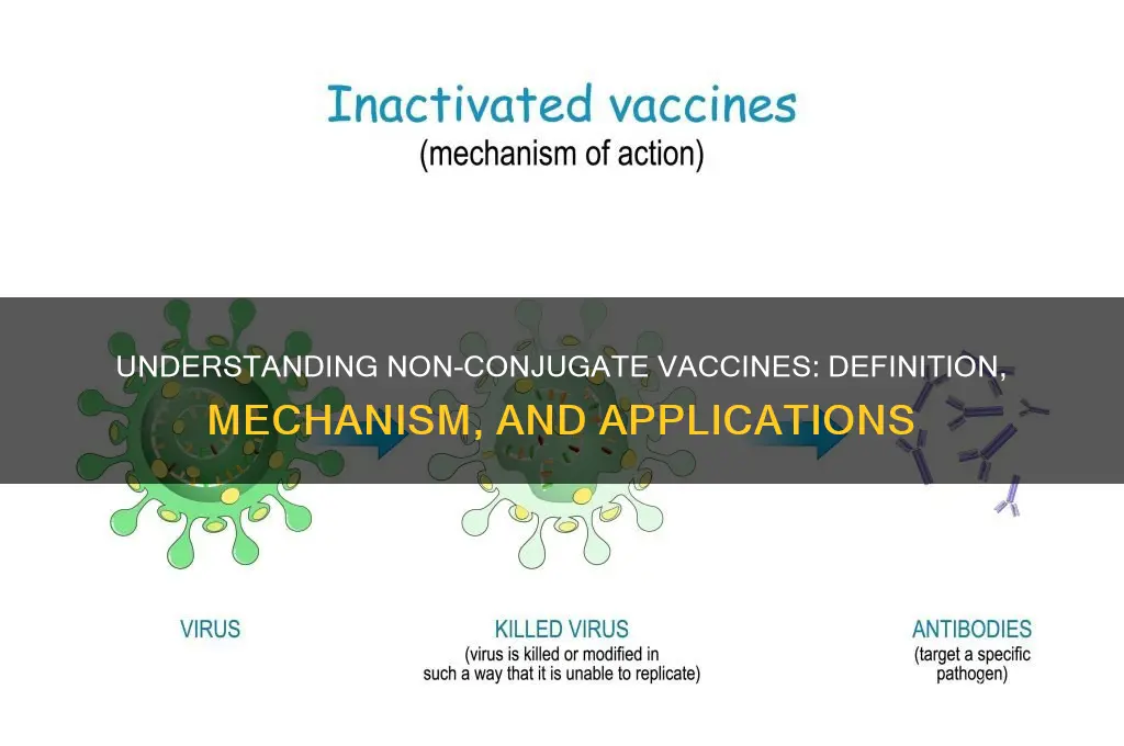 what is the meaning of non conjugate vaccine