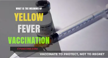Understanding Yellow Fever Vaccination: Purpose, Importance, and Global Health Impact