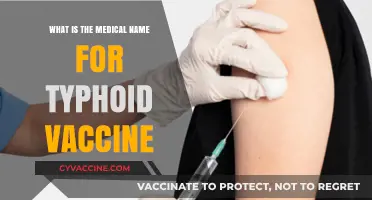 Understanding Typhoid: The Medical Name for the Typhoid Vaccine Explained