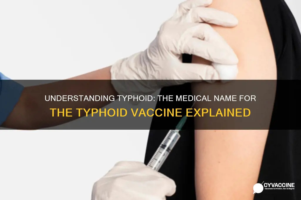 what is the medical name for typhoid vaccine