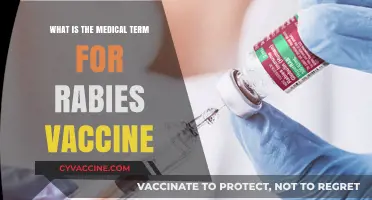 Understanding Rabies Prevention: The Medical Term for the Vaccine Explained