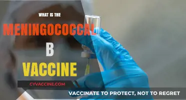 Understanding the Meningococcal B Vaccine: Benefits, Risks, and Importance