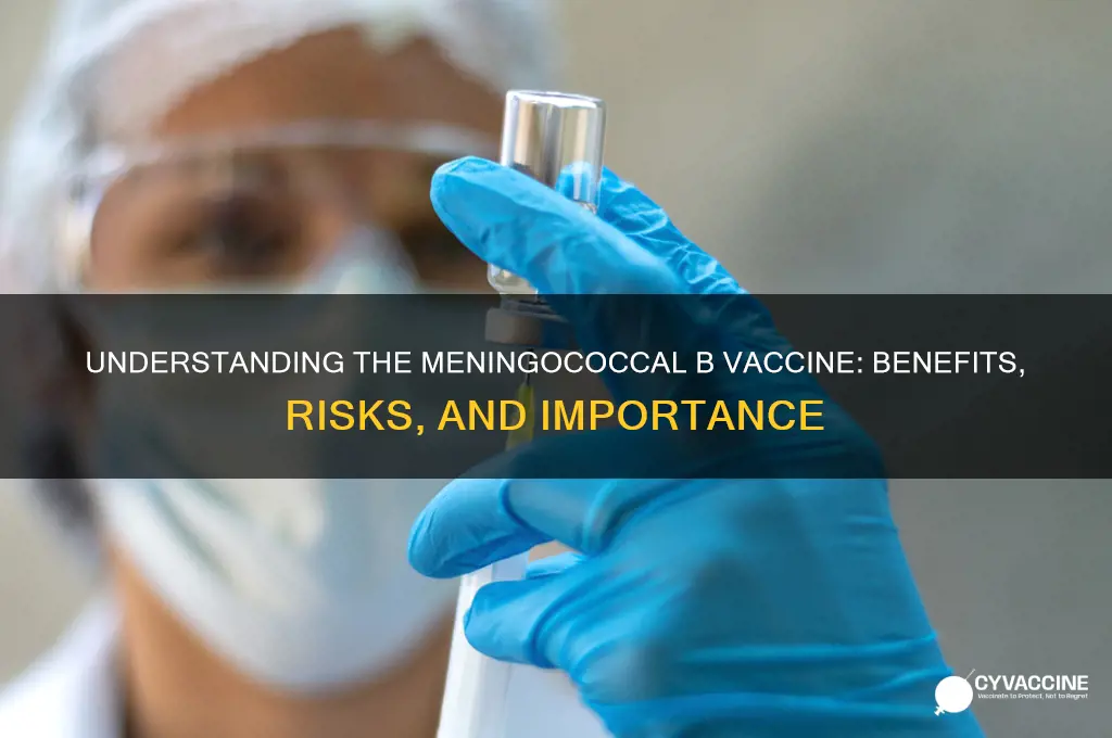 what is the meningococcal b vaccine