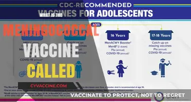 Understanding Meningococcal Vaccine: Names, Types, and Essential Information