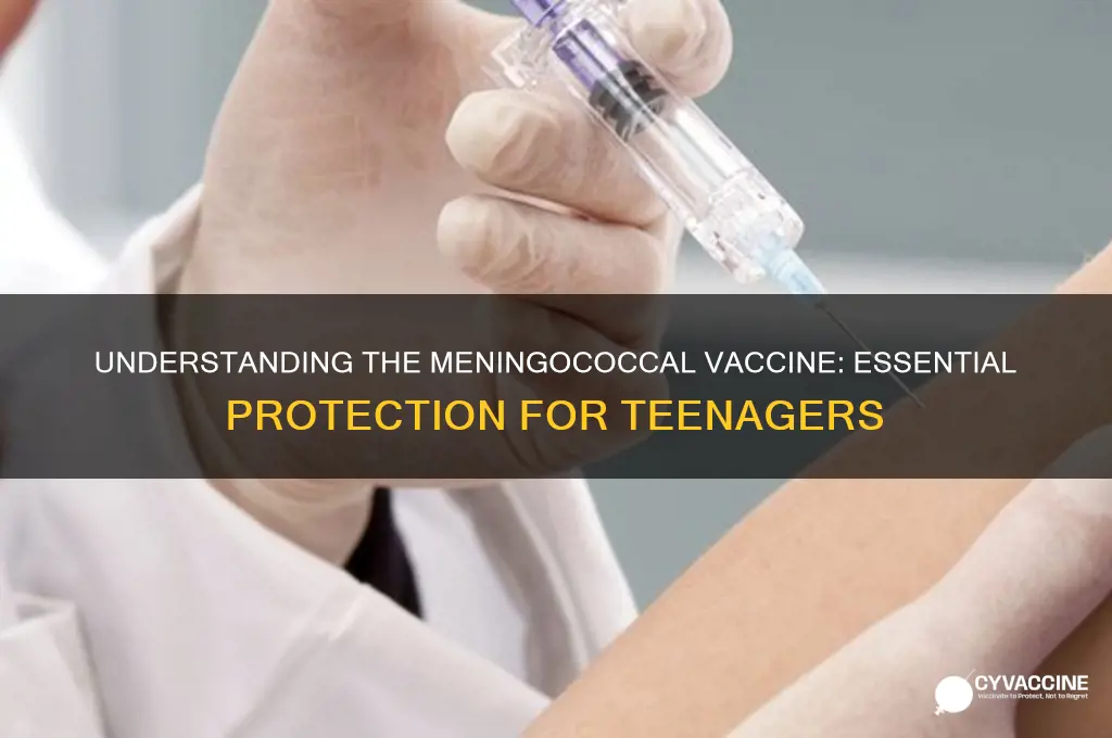 what is the meningococcal vaccine in teens for