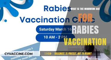 Understanding the Minimum Age for Rabies Vaccination in Pets and Humans