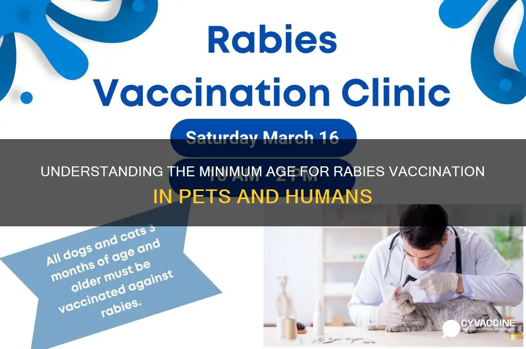 what is the minimum age for rabies vaccination