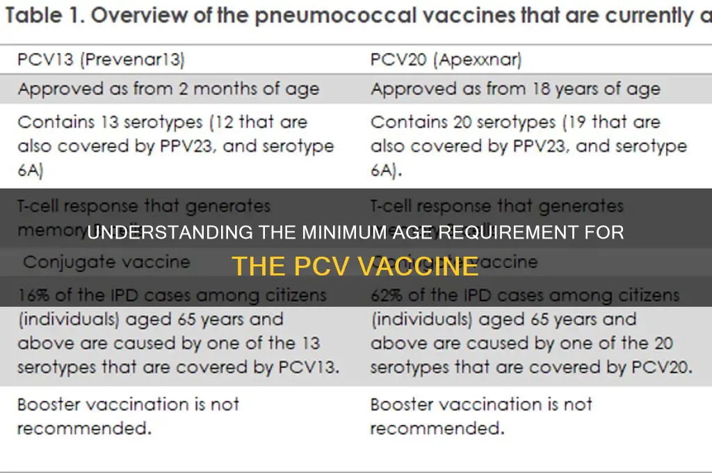 what is the minimum age for the pcv vaccine
