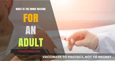Understanding the MMR Vaccine Benefits for Adults: A Comprehensive Guide