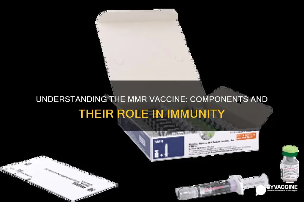 what is the mmr vaccine madae up of