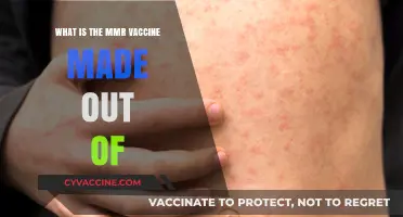 Understanding the MMR Vaccine: Ingredients and Composition Explained