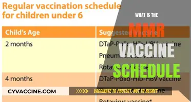 Understanding the MMR Vaccine Schedule: Timely Protection for Your Child