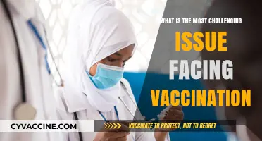 Overcoming Vaccine Hesitancy: The Greatest Challenge to Global Immunization Efforts