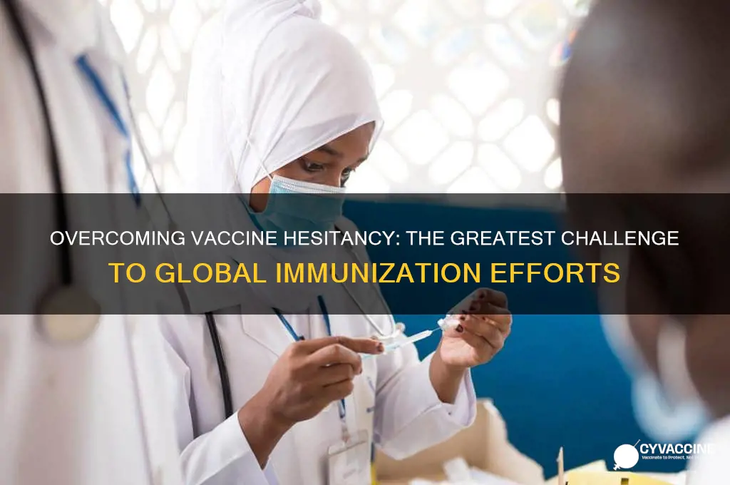 what is the most challenging issue facing vaccination