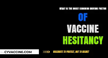 Understanding Vaccine Hesitancy: Uncovering the Primary Driving Force Behind It