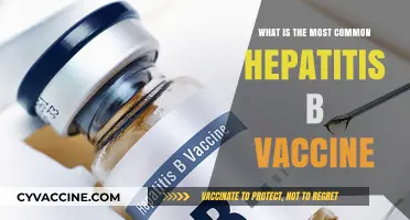 Understanding the Most Common Hepatitis B Vaccine: Types and Effectiveness