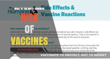Understanding the Most Common Risk Associated with Vaccines: What You Need to Know