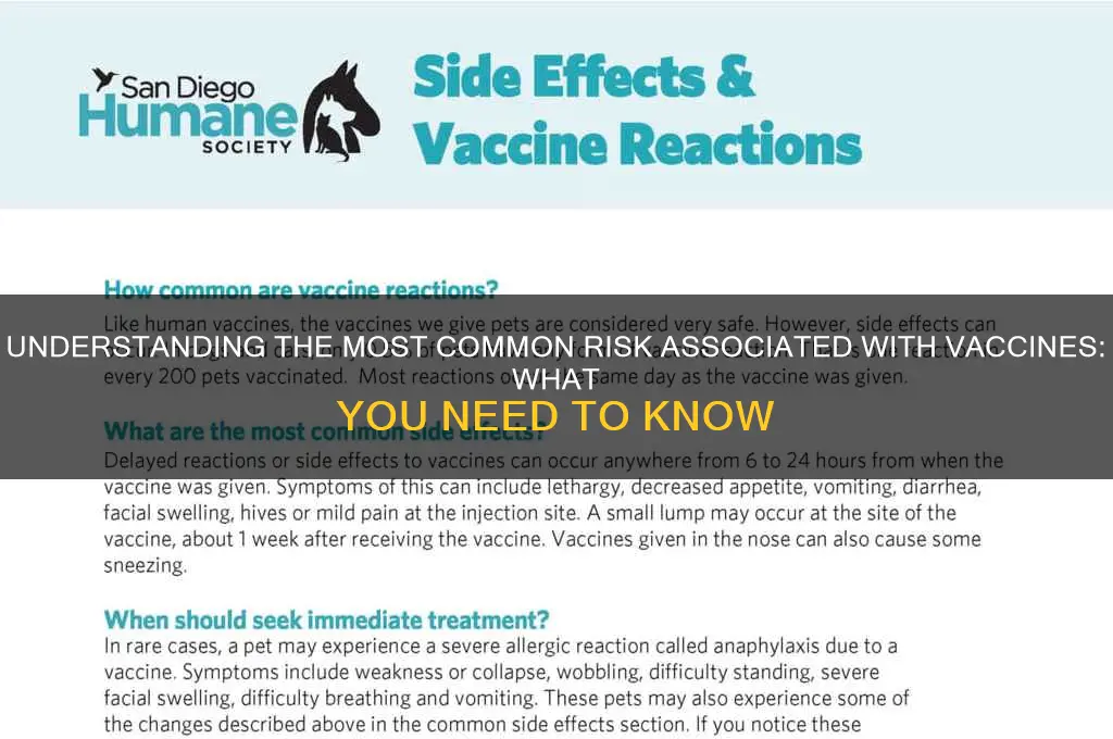 what is the most common risk of vaccines