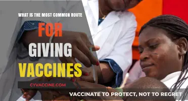 Understanding the Most Common Vaccine Administration Route: A Comprehensive Guide
