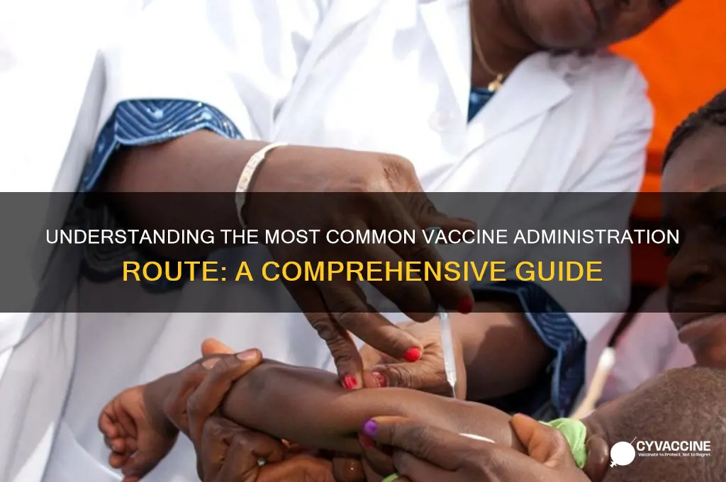 what is the most common route for giving vaccines